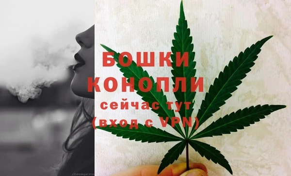 гидропоника Вяземский