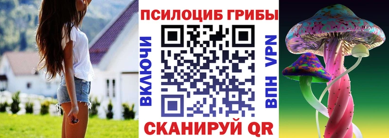 Галлюциногенные грибы MAGIC MUSHROOMS  Осташков 